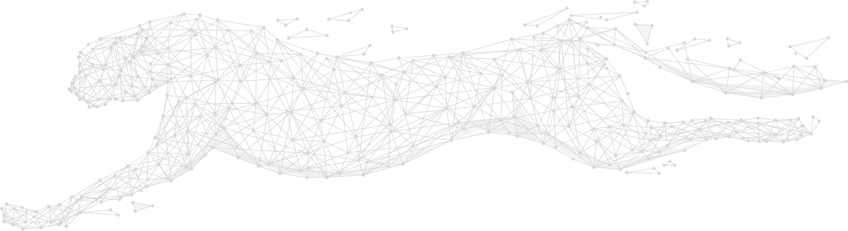 LEAN Enterprise cheetah